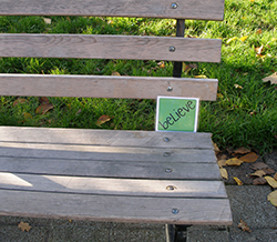 Park Bench at 8th & Everett, Portland, OR